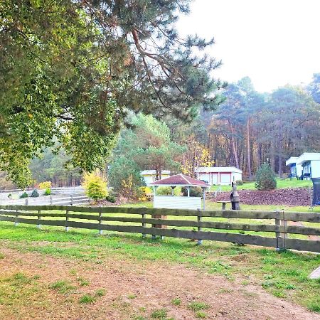 Tiny House Ueckeritz别墅 外观 照片